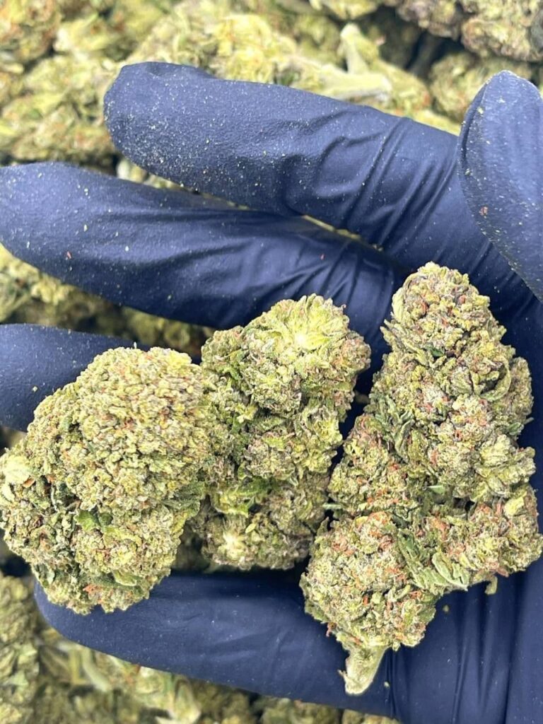 Pie Order Weed Online Get Cannabis Delivery & Pickup